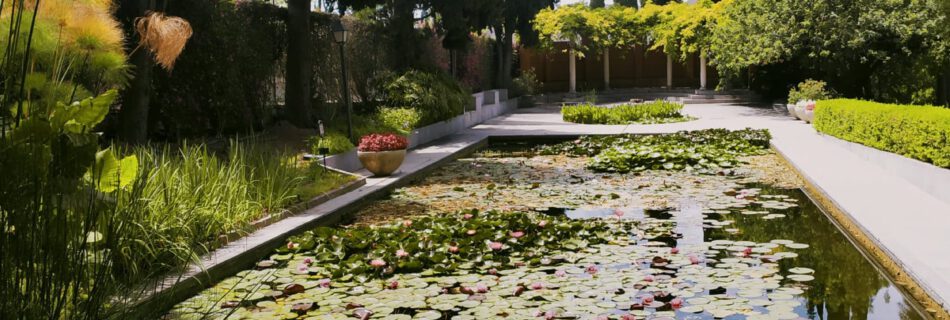 Jardin Botánico La Concepción, Málaga