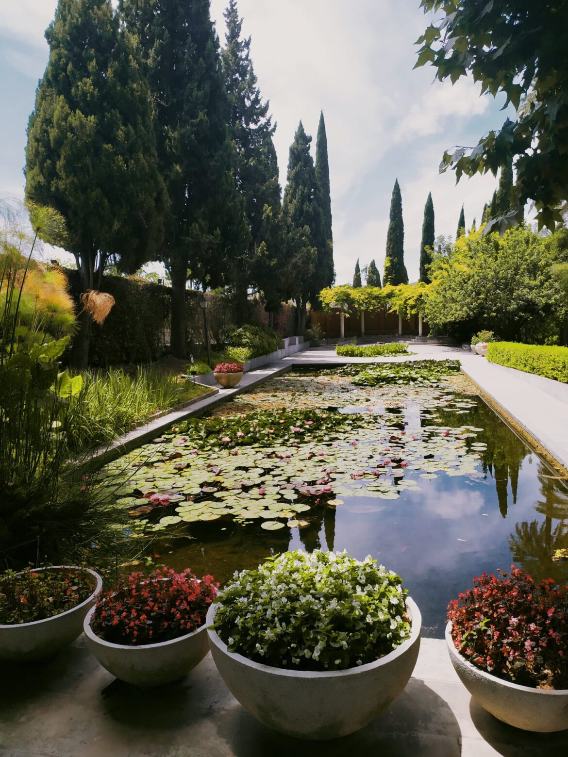 Jardin Botánico La Concepción, Málaga